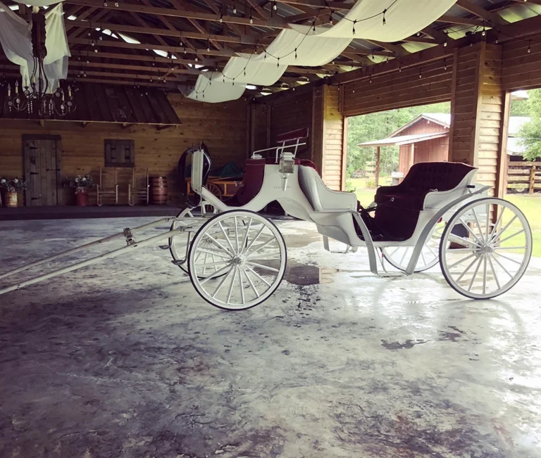 Mossy Oak Farm photo
