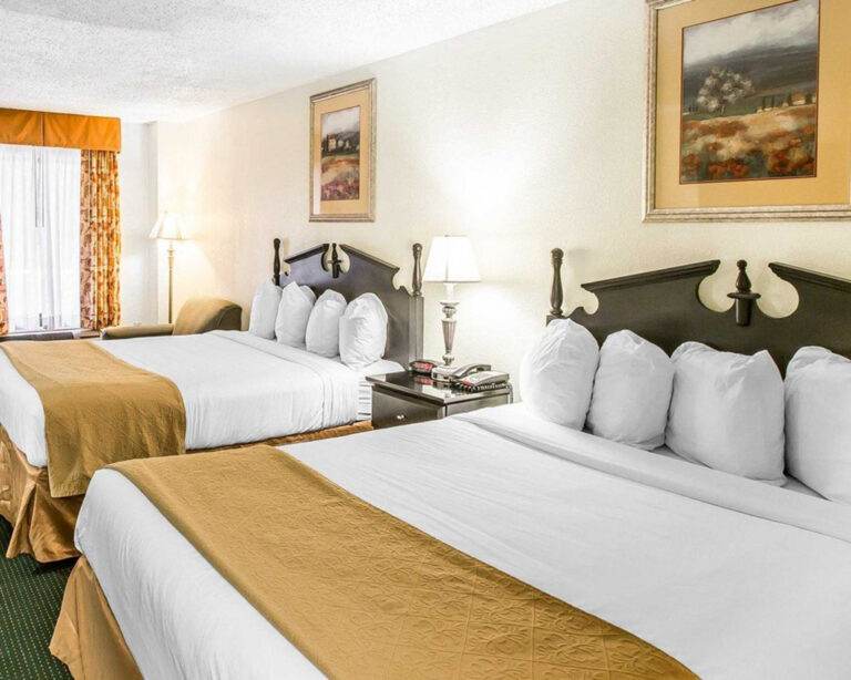 Quality Inn & Suites photo