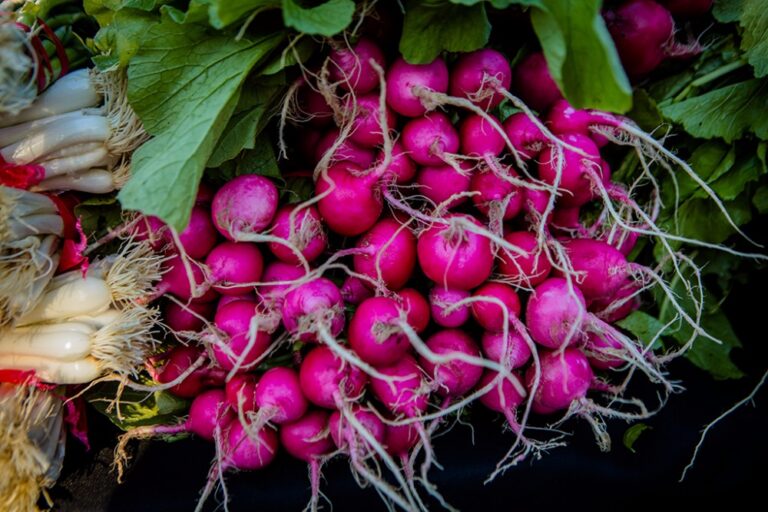 Statesboro Main Street Farmers Market