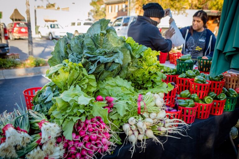 Statesboro Main Street Farmers Market