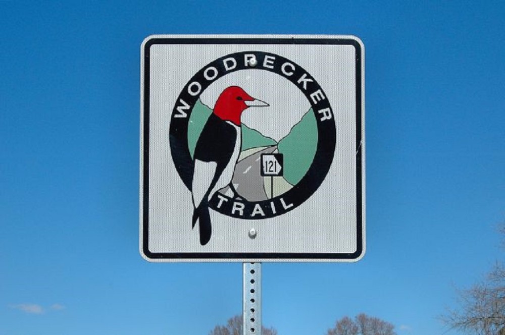 Sign posted on the road for the Woodpecker trail.
