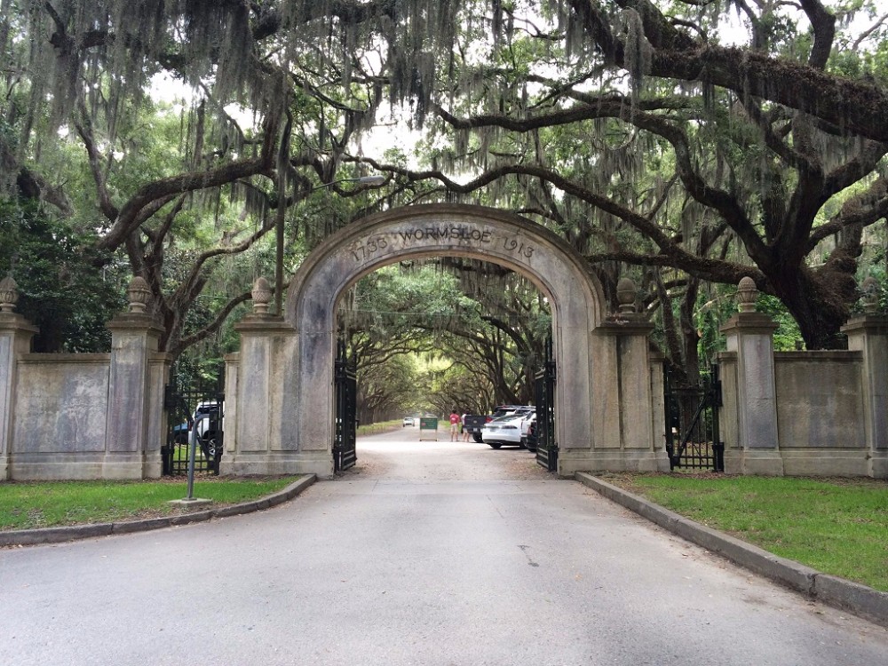 A Picture of the Gated entrance into the Wormsloe location