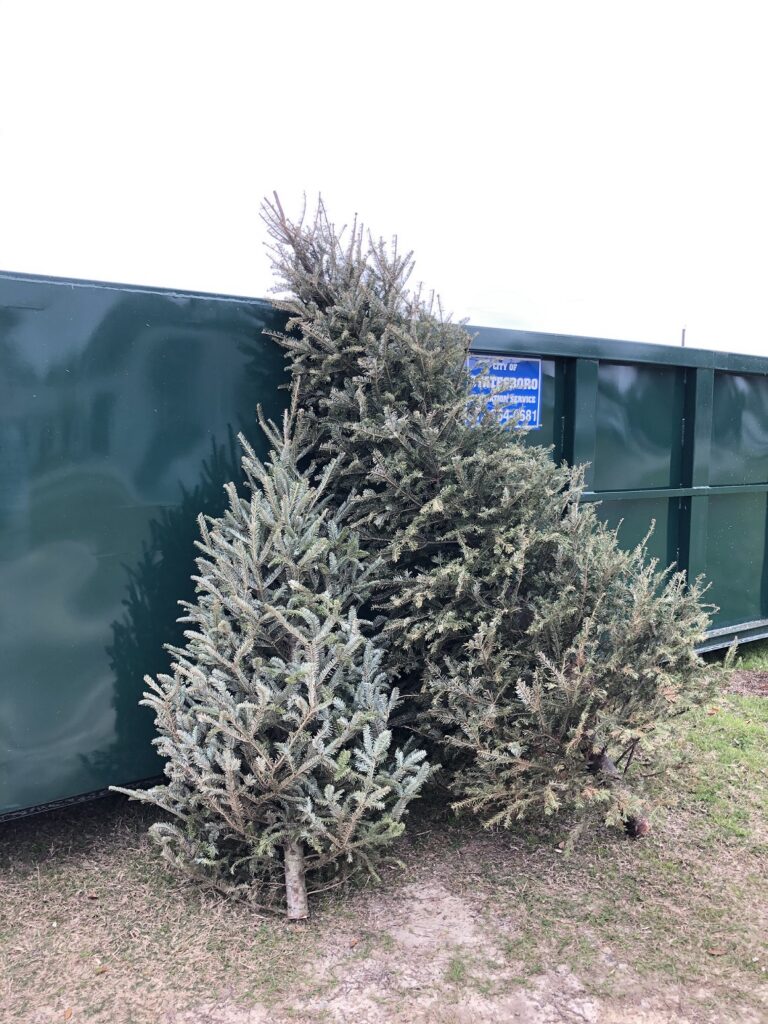 Several used Christmas trees are stacked against a large green metal dumpster at a drop-off site. The trees appear dry and are part of a collection effort for recycling, such as the "Bring One for the Chipper" program. The background includes a sign partially visible with contact information for Statesboro sanitation services.