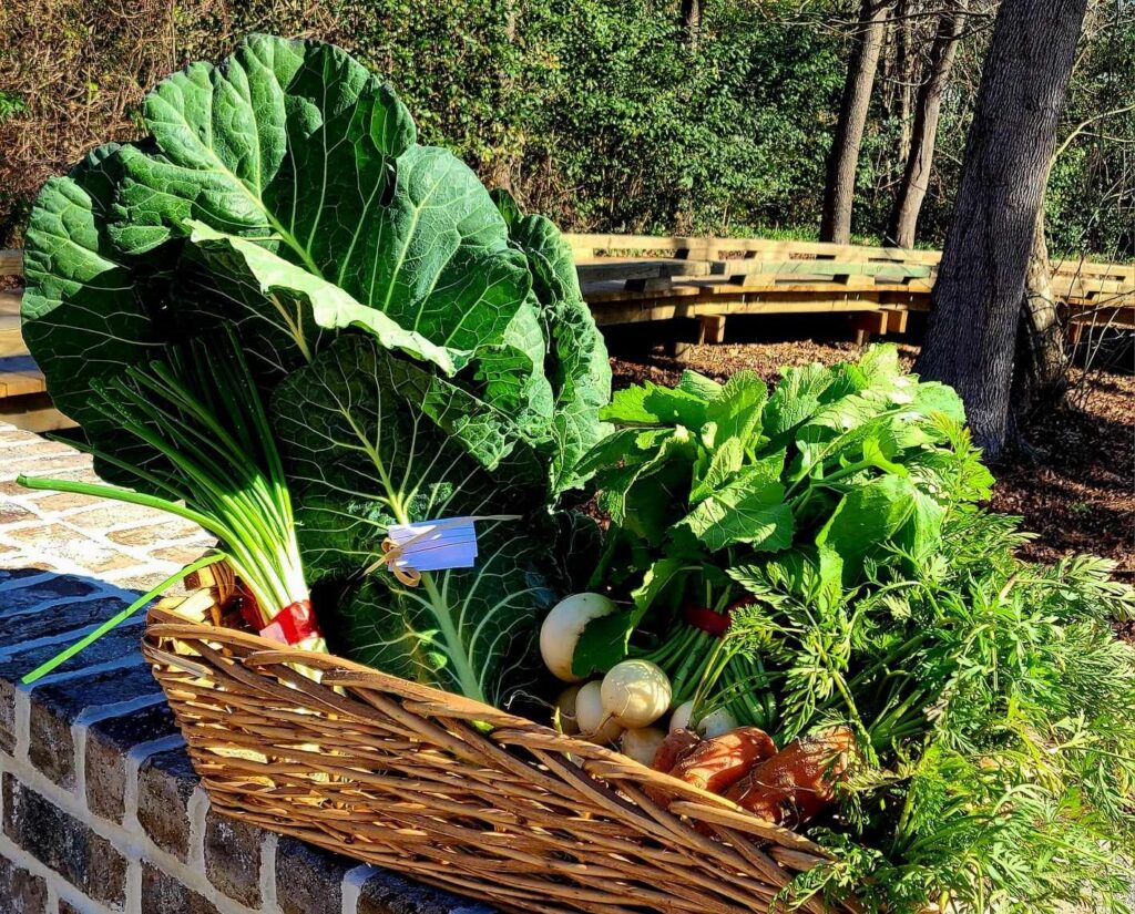 Fresh Produce Sold in the Market2Go.