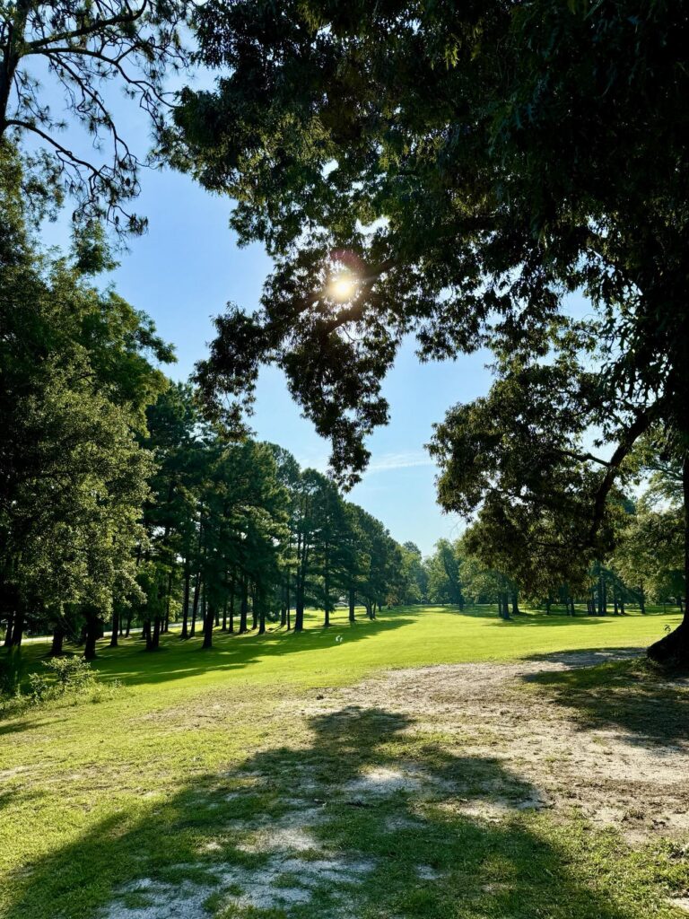 A scenic view of Fletcher Memorial Park featuring a wide, open grassy field bordered by tall trees. Sunlight filters through the tree branches, casting dappled shadows on the ground. The serene atmosphere is highlighted by the clear blue sky and the natural beauty of the surroundings.