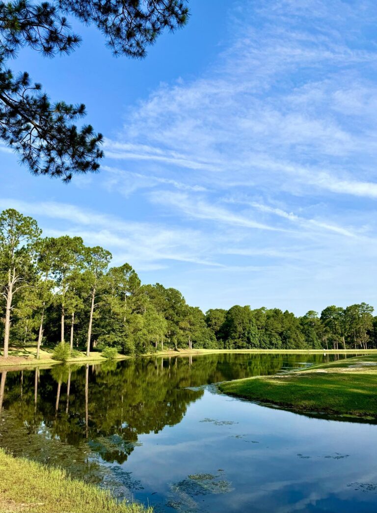 A picturesque view at Fletcher Memorial Park featuring a calm pond surrounded by lush greenery and tall pine trees. The water perfectly reflects the trees and the vibrant blue sky above, adorned with wispy clouds. The peaceful landscape showcases the park's natural beauty and tranquility.