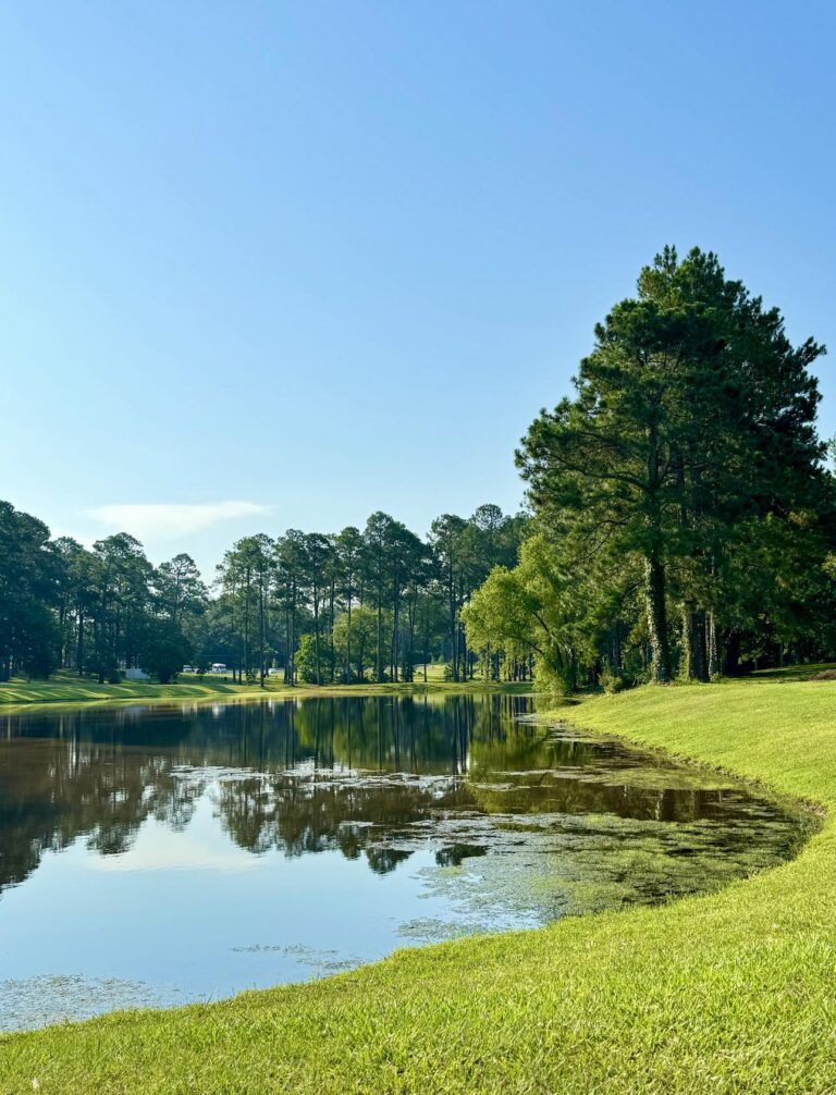 A tranquil view of a pond at Fletcher Memorial Park, surrounded by green grass and tall trees. The still water reflects the trees and the clear blue sky above, adding to the serene and picturesque atmosphere. The scene showcases the natural beauty and calmness of the park.