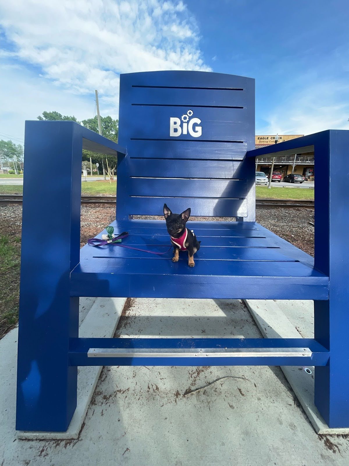 A tiny black dog wearing a red harness sits on an oversized, bright blue chair labeled 'BIG' in white letters, located outdoors in Statesboro. The playful scene emphasizes the chair's enormous size compared to the small dog. A leash and toy rest on the chair's surface. The background shows a sunny day with scattered clouds, trees, and a local storefront, adding to the inviting and pet-friendly atmosphere of the area.