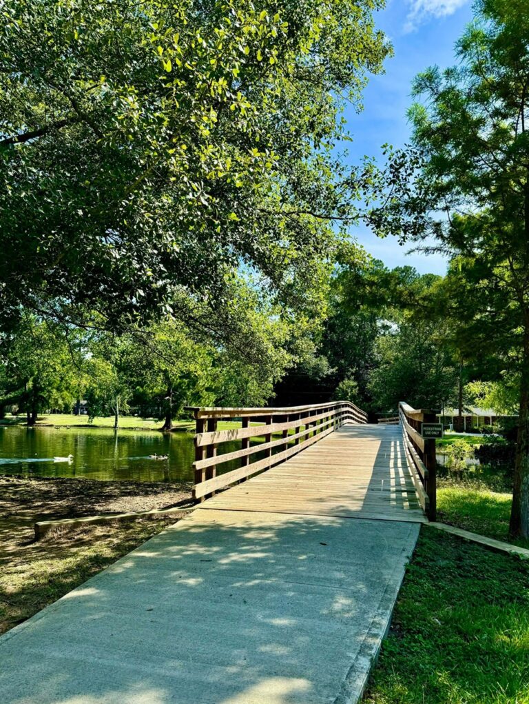 A scenic view at Shelby Park showcasing a wooden bridge stretching over a calm pond surrounded by lush greenery. The pathway leading to the bridge is shaded by trees, and sunlight filters through the leaves, creating a dappled effect on the ground. The serene setting invites a peaceful stroll and highlights the natural beauty of the park.