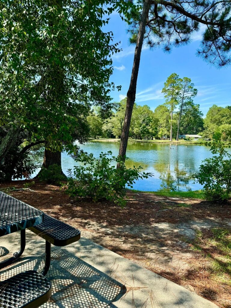 A peaceful scene at Shelby Park featuring a black metal picnic table overlooking a calm pond surrounded by trees and lush greenery. The shaded area provides a relaxing spot to enjoy the serene view, with the pond reflecting the vibrant blue sky and the surrounding landscape. The tranquil atmosphere makes it an inviting place for rest and recreation.