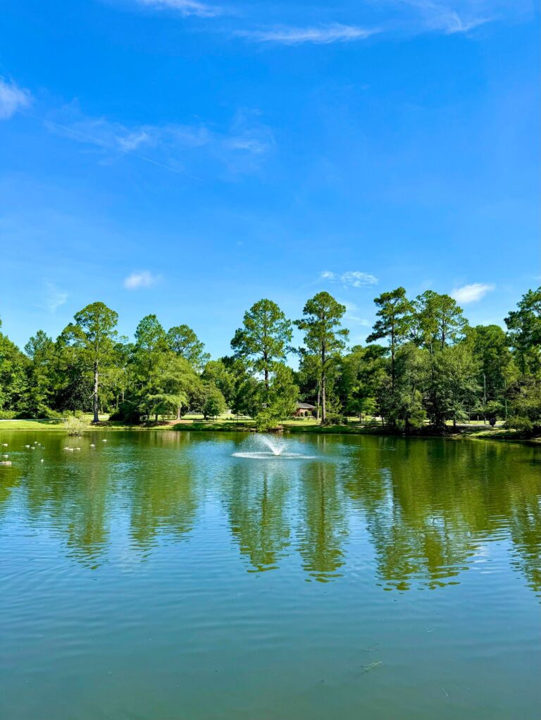 A stunning view at Shelby Park featuring a tranquil pond surrounded by tall trees and lush greenery. A fountain in the center of the pond creates ripples across the water, which reflects the clear blue sky and surrounding landscape. The peaceful atmosphere highlights the park's natural beauty and serene environment.