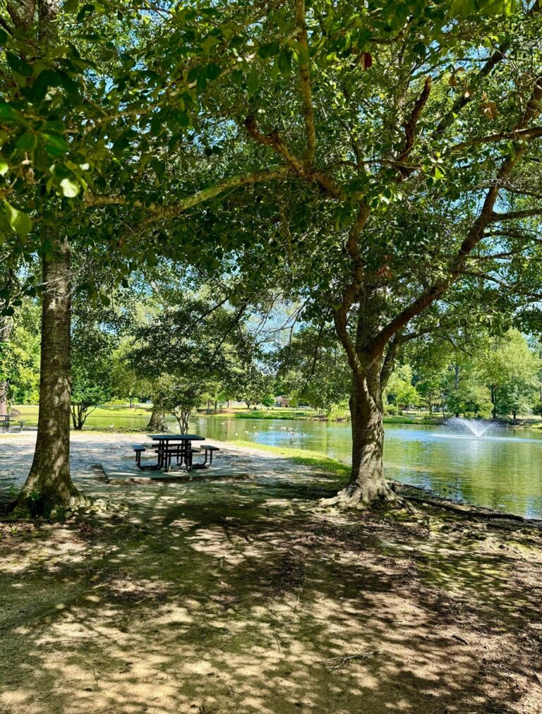 A serene spot at Shelby Park featuring a shaded picnic table beneath large trees overlooking a calm pond. The trees create a dappled pattern of sunlight on the ground, adding to the tranquil atmosphere. A fountain in the pond and surrounding greenery enhance the peaceful setting, making it an inviting place to relax and enjoy nature.
