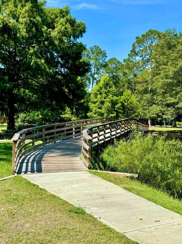 A charming wooden bridge at Shelby Park gently curves over a lush, green area with dense foliage and a calm waterway beneath. The bridge is flanked by a paved walkway leading to it, and the surrounding trees and vibrant greenery create a serene and picturesque setting under the clear blue sky.