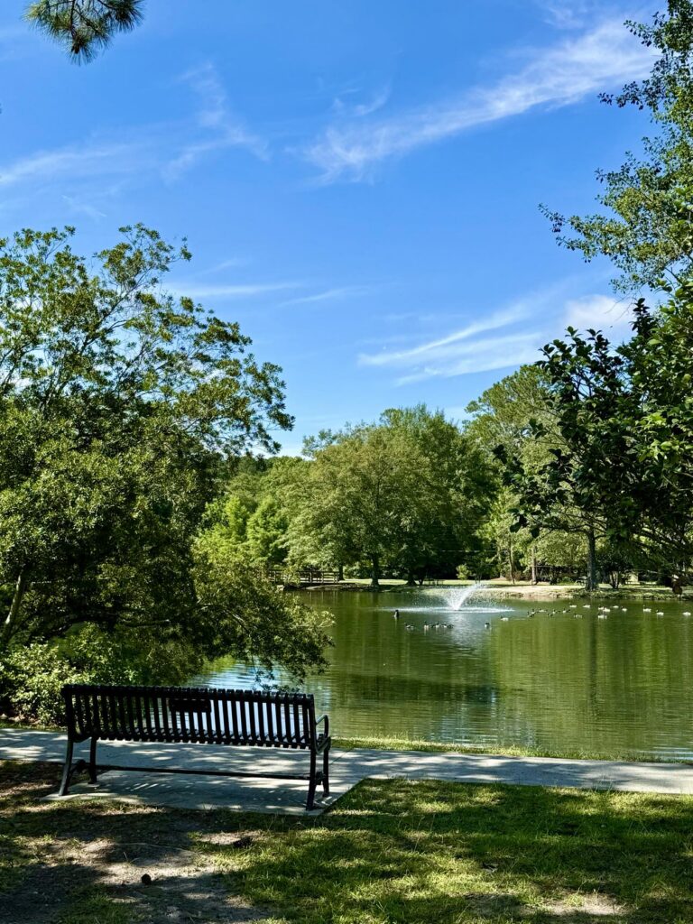 A peaceful view at Shelby Park featuring a black metal bench overlooking a serene pond surrounded by lush greenery. A fountain in the middle of the pond adds movement to the tranquil scene. The clear blue sky with wispy clouds enhances the relaxing and picturesque atmosphere of the park.