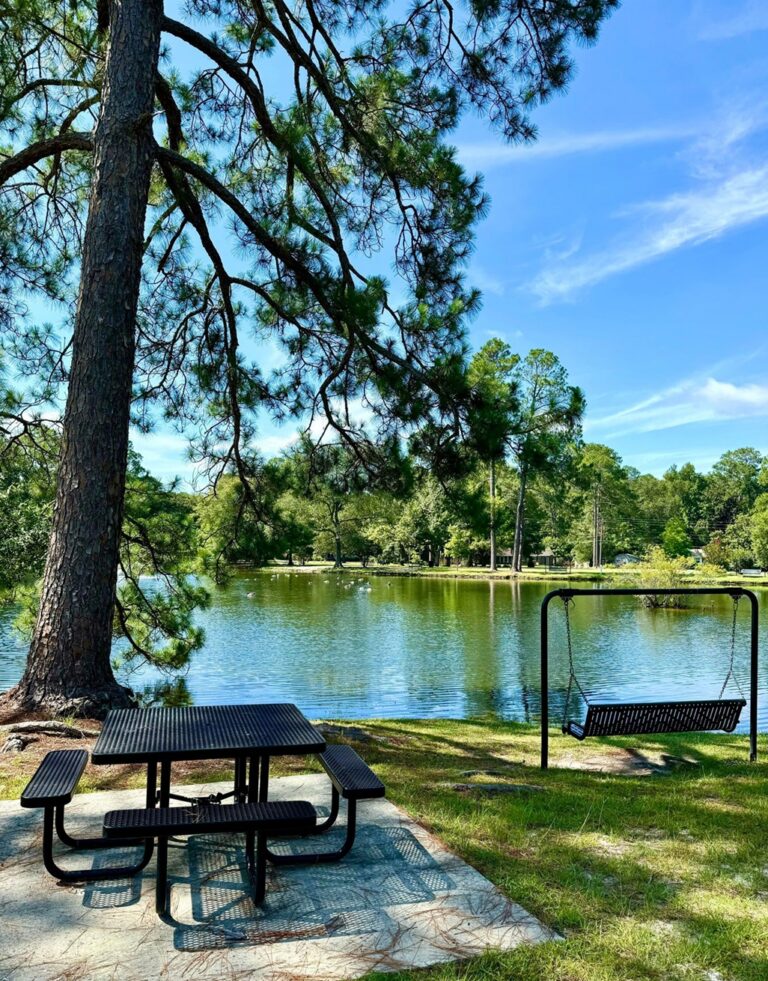 A tranquil view at Shelby Park featuring a black metal picnic table and a matching swing by a calm pond. The area is shaded by a large pine tree, creating a peaceful spot to relax and enjoy the serene surroundings. The pond reflects the clear blue sky and nearby trees, adding to the natural beauty of the setting. A tranquil view at Shelby Park featuring a black metal picnic table and a matching swing by a calm pond. The area is shaded by a large pine tree, creating a peaceful spot to relax and enjoy the serene surroundings. The pond reflects the clear blue sky and nearby trees, adding to the natural beauty of the setting.
