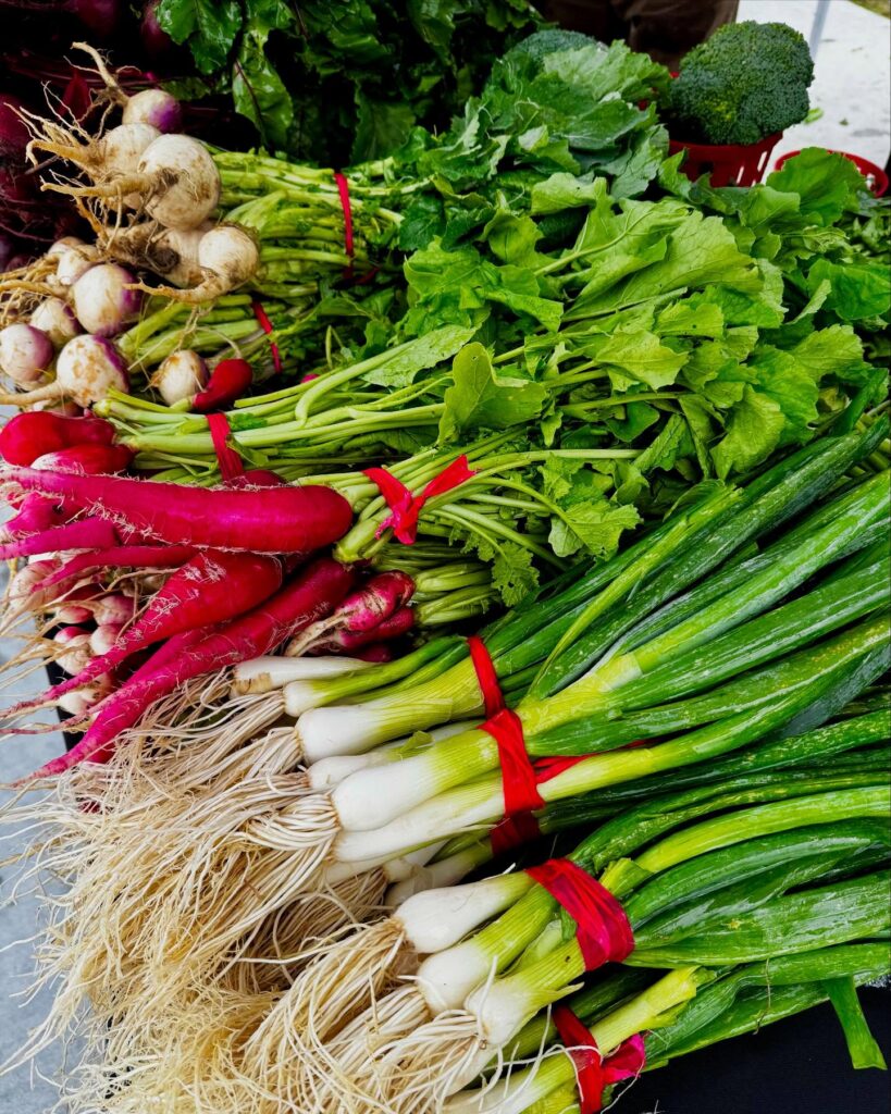 Close-up of a Statesboro Farmer's display: fresh scallions with long roots stacked beside slender red radishes and small white-and-purple turnips, all bound with red ties, with heaps of leafy greens and a head of broccoli in the background.